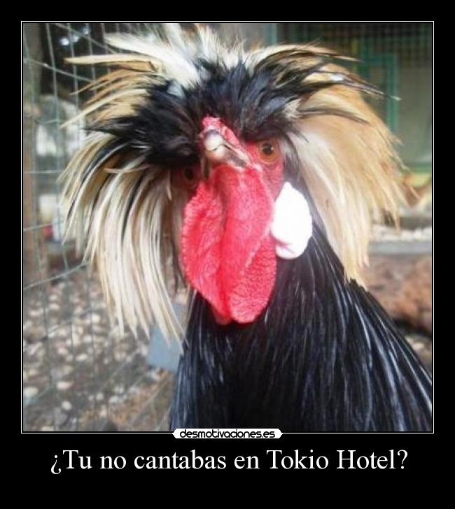 ¿Tu no cantabas en Tokio Hotel? -  