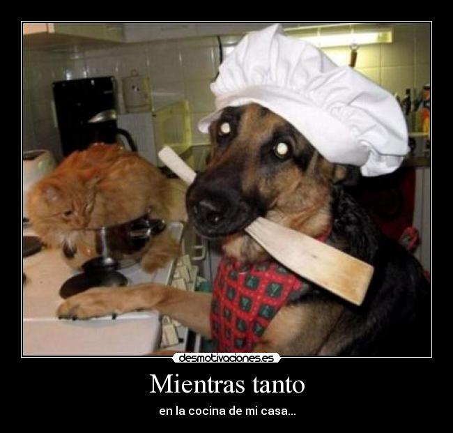 Mientras tanto - en la cocina de mi casa...