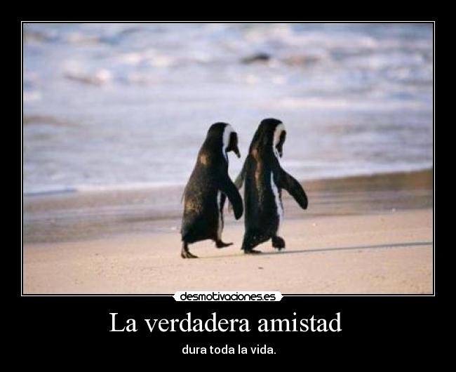 La verdadera amistad  - 