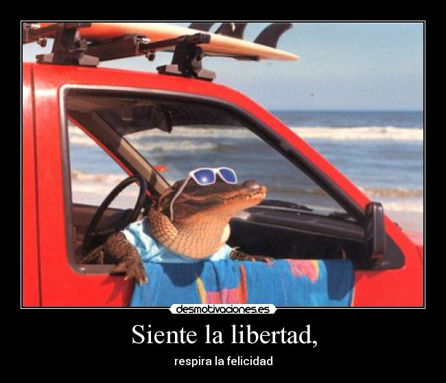 carteles libertad walt_k libertad felicidad desmotivaciones