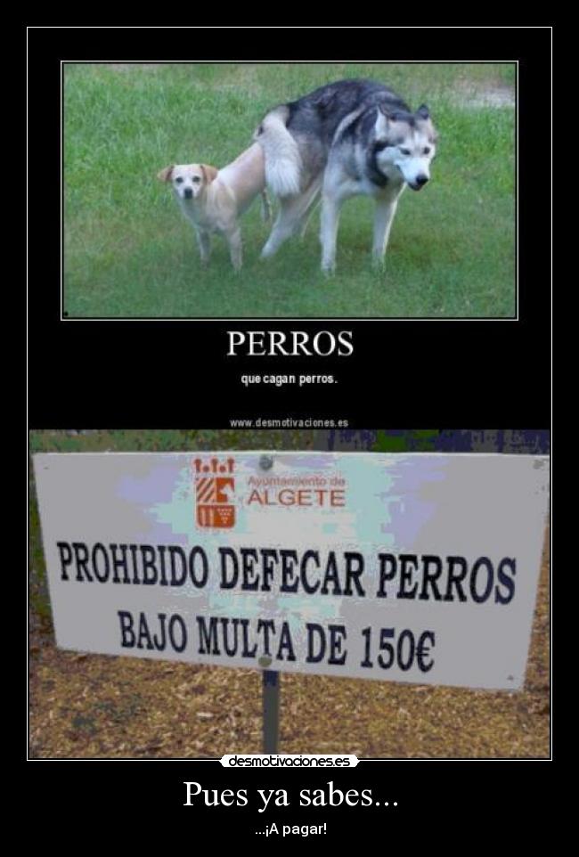 carteles sabes desmotivaciones