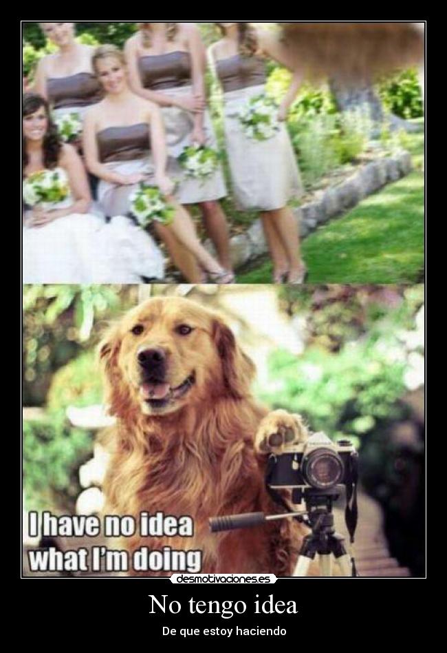 No tengo idea - De que estoy haciendo
