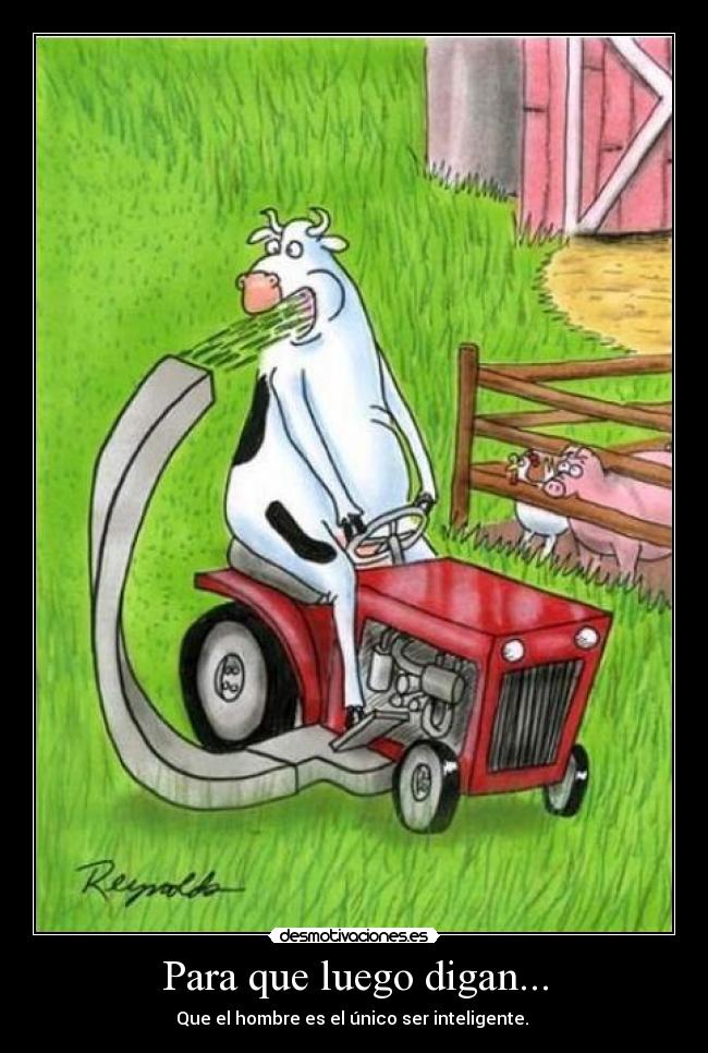 Para que luego digan... -