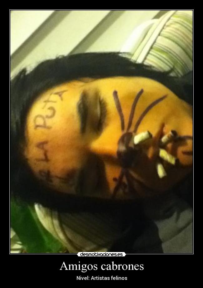 Amigos cabrones - Nivel: Artistas felinos