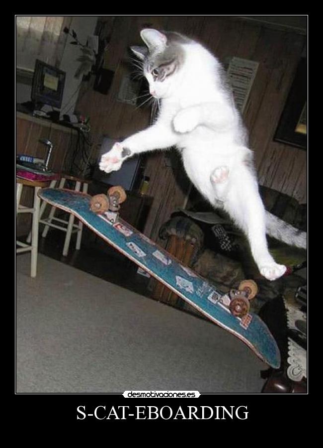 S-CAT-EBOARDING - 