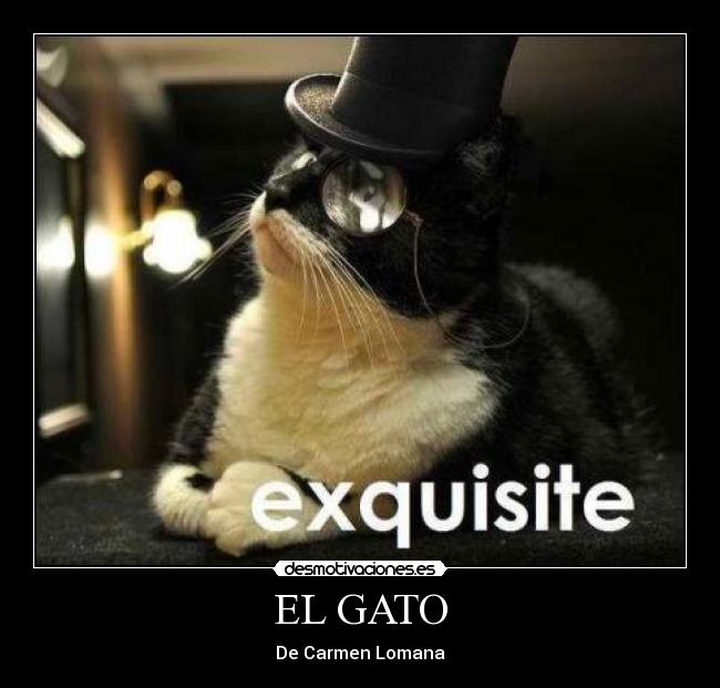 EL GATO - De Carmen Lomana