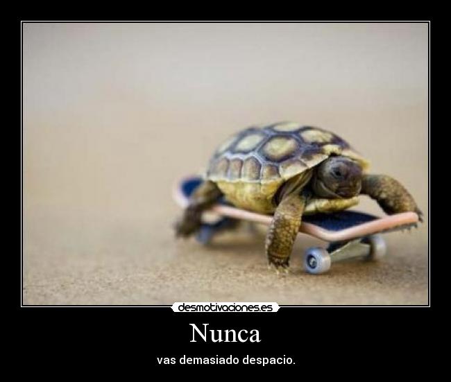 carteles tortuga desmotivaciones