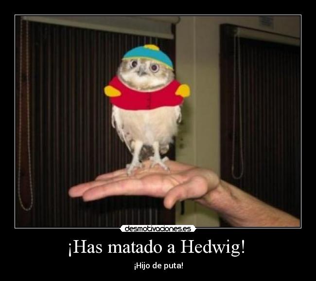 ¡Has matado a Hedwig!  - 