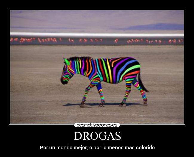 DROGAS -