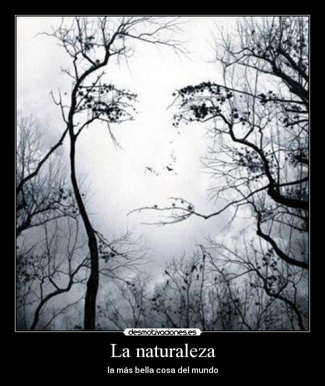 La naturaleza -