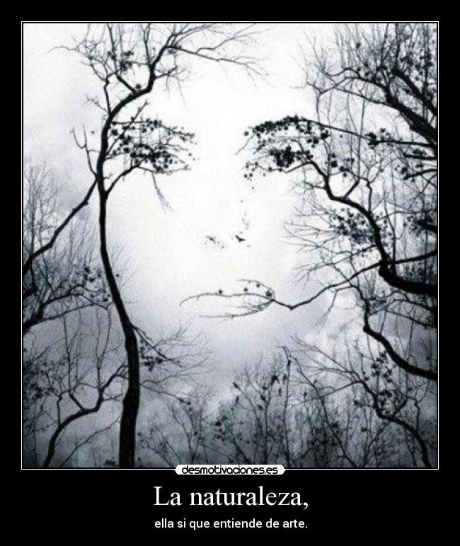 La naturaleza, - ella si que entiende de arte.