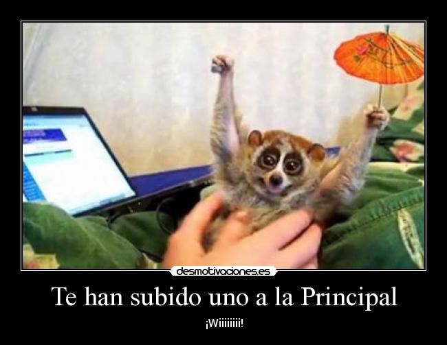 carteles celebrarlo cartel principal desmotivaciones