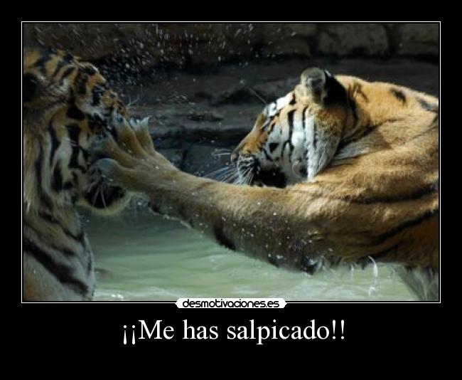 ¡¡Me has salpicado!! - 