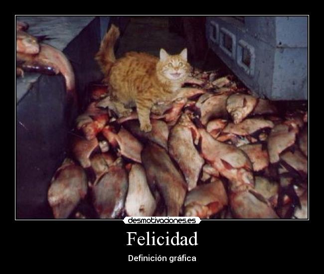 Felicidad - 