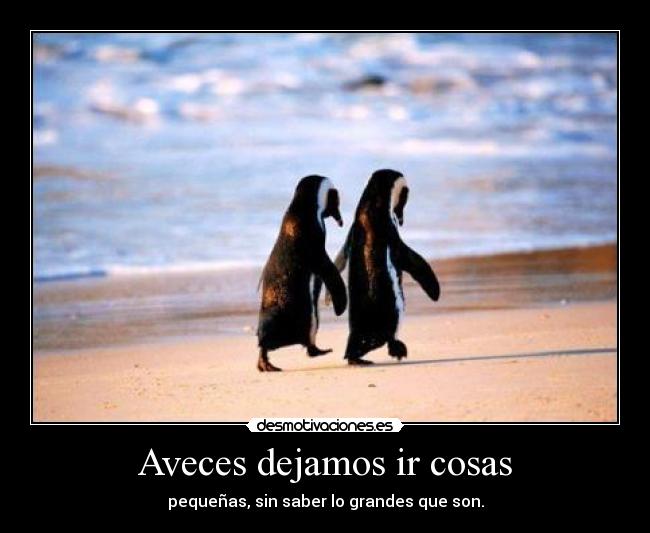 Aveces dejamos ir cosas - pequeñas, sin saber lo grandes que son.