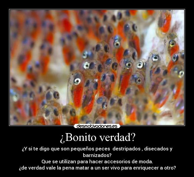 carteles elmejorcarteldelmundo desmotivaciones