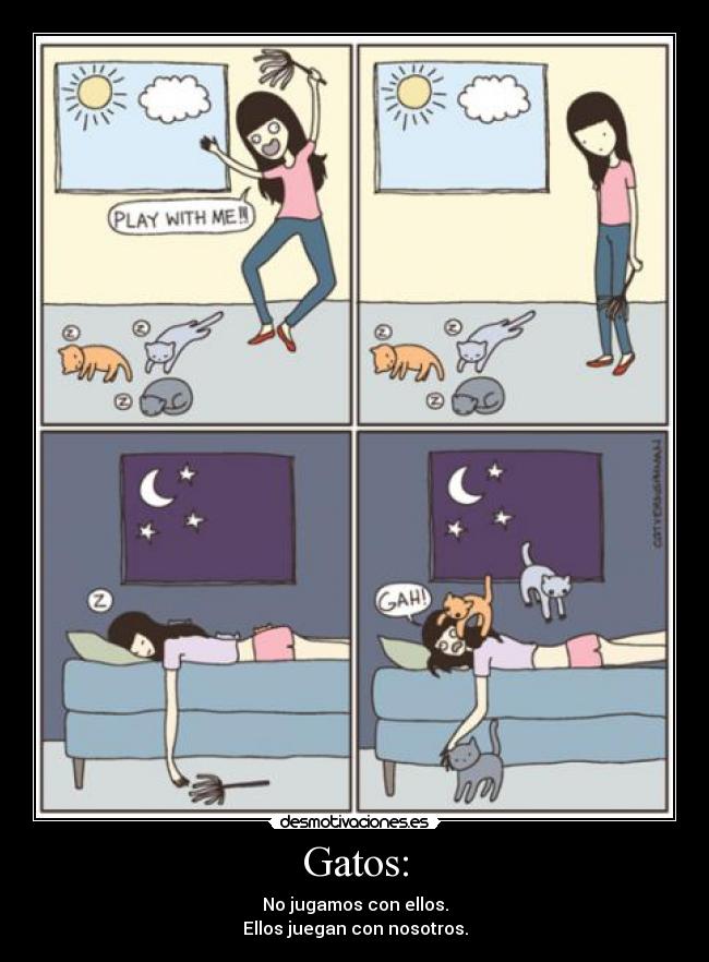 Gatos: -