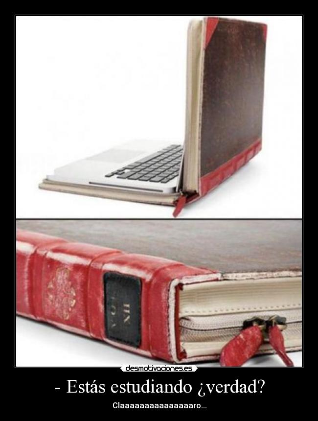- Estás estudiando ¿verdad? -