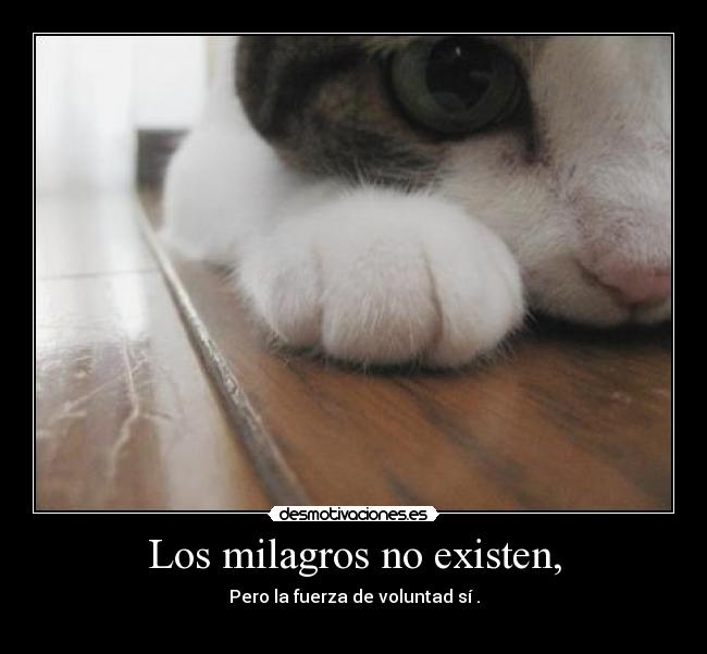 carteles ccccc desmotivaciones