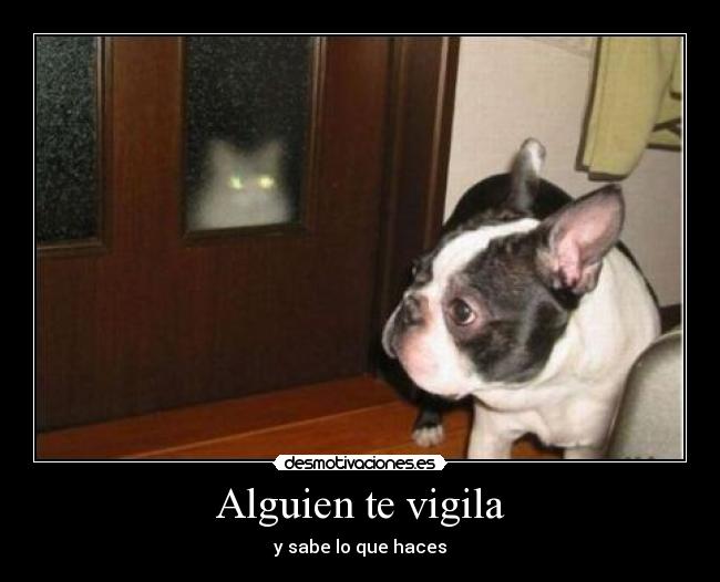 Alguien te vigila - y sabe lo que haces