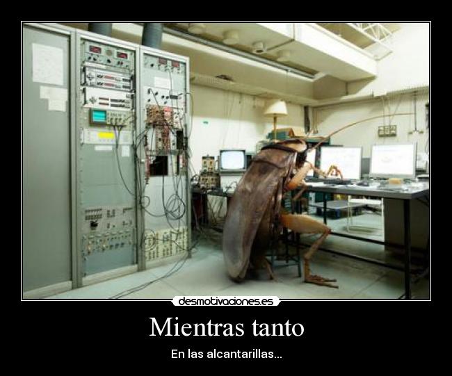 carteles cucarachas alcantarillas desmotivaciones