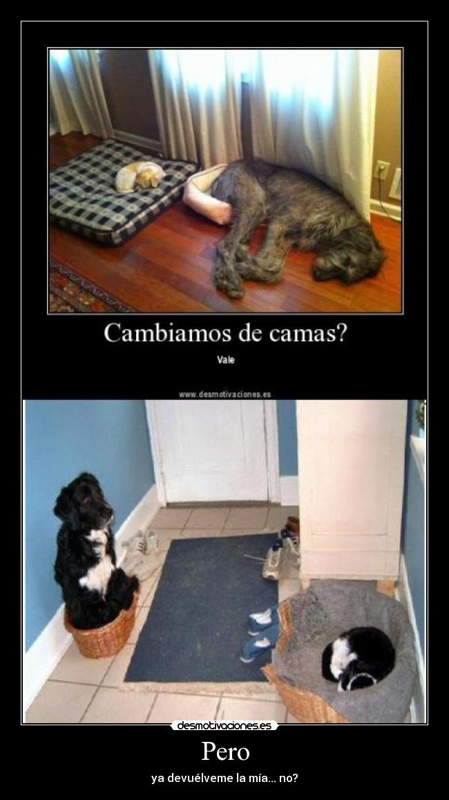 Pero - ya devuélveme la mía... no?