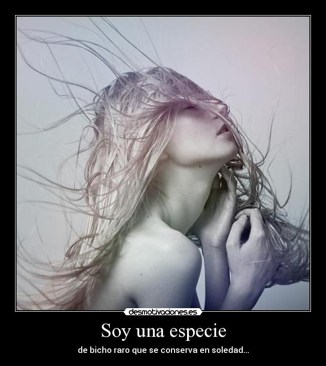 Soy una especie - de bicho raro que se conserva en soledad...