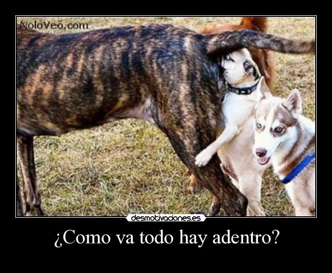 carteles xexomlg desmotivaciones