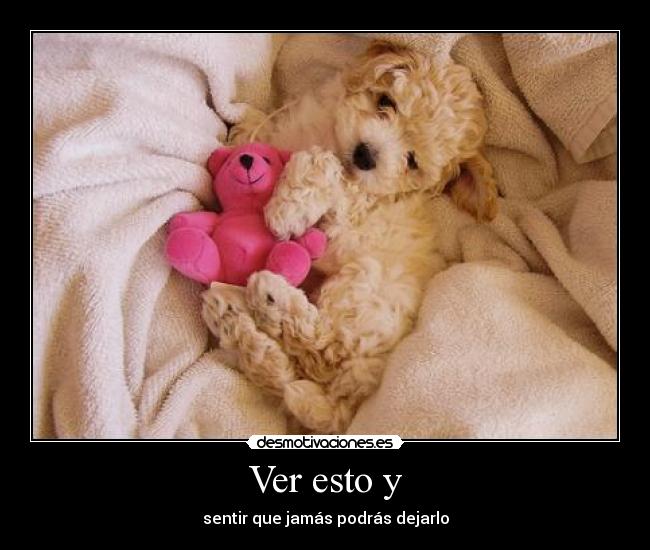 Ver esto y - sentir que jamás podrás dejarlo