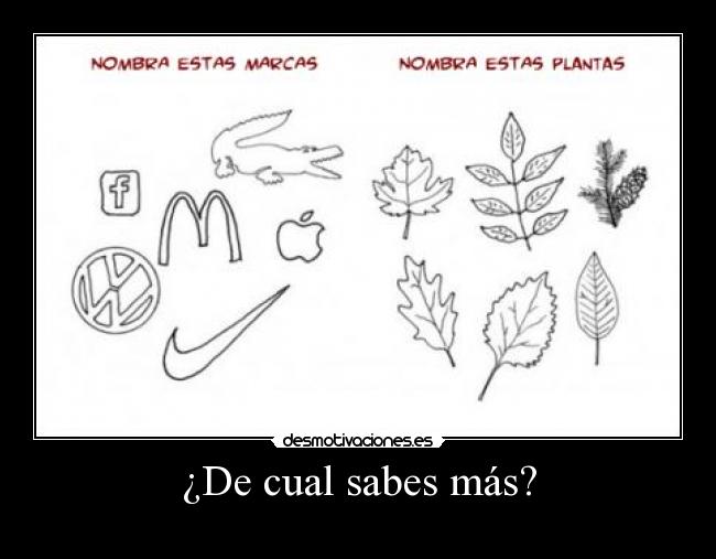 ¿De cual sabes más? - 