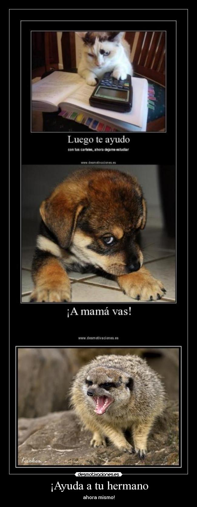 ¡Ayuda a tu hermano - 