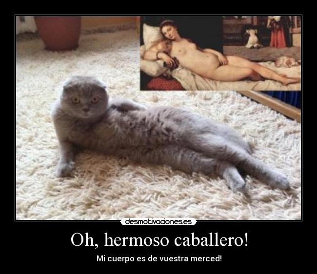 Oh, hermoso caballero! - Mi cuerpo es de vuestra merced!