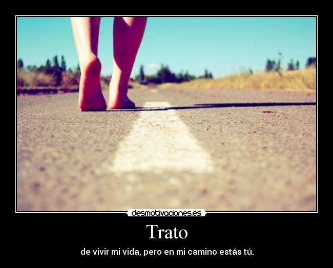 Trato - 