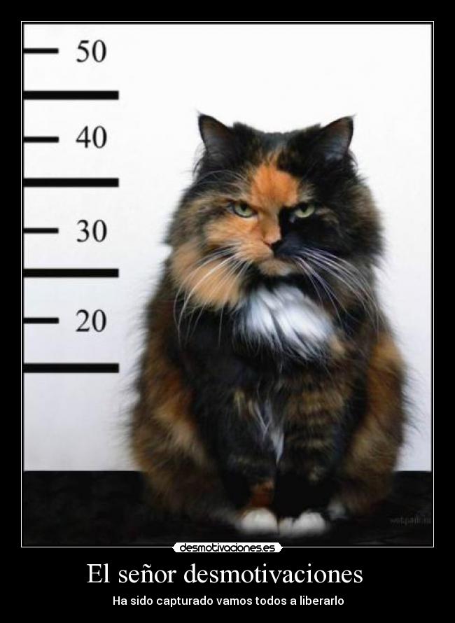 El señor desmotivaciones  - Ha sido capturado vamos todos a liberarlo