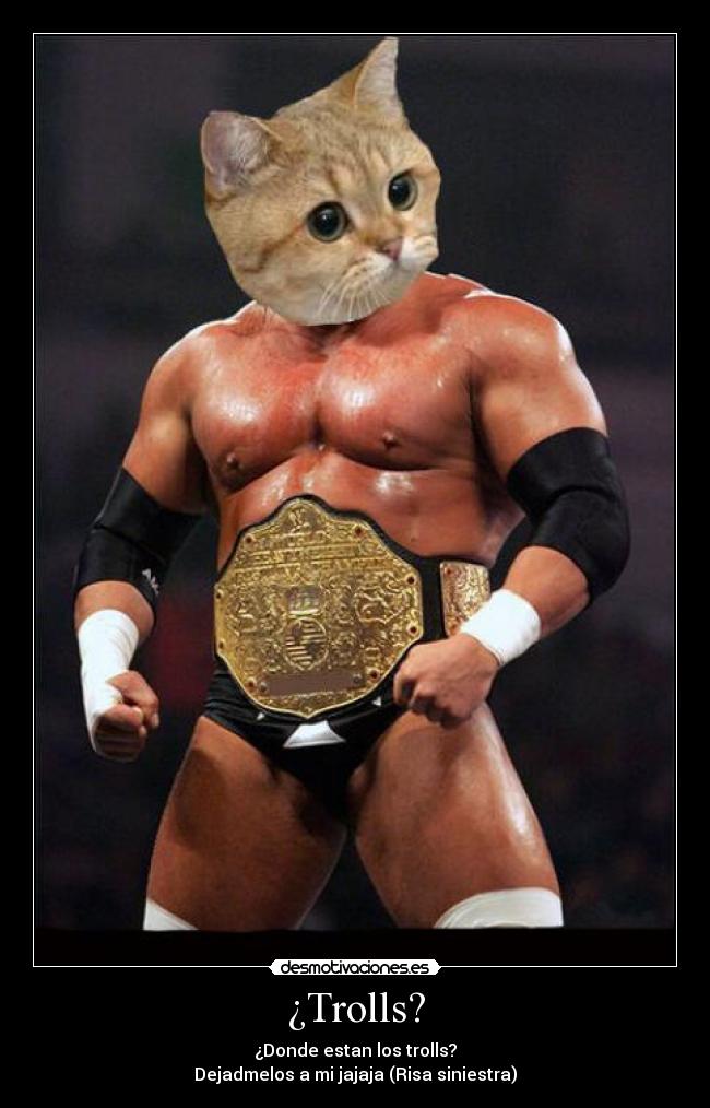 carteles gatosluchador contra troll desmotivaciones