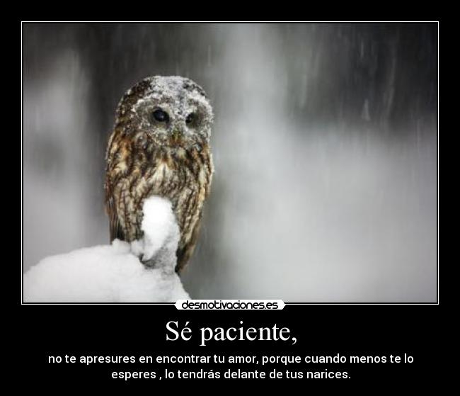 carteles elmejorcarteldelmundo desmotivaciones