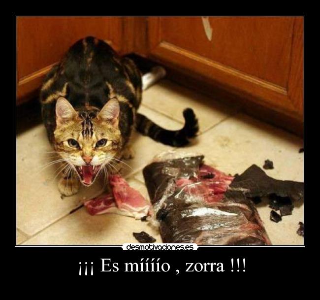 ¡¡¡ Es míííío , zorra !!! -
