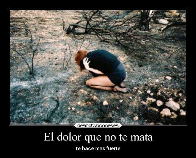 carteles dolor dolor sufrir matar desmotivaciones