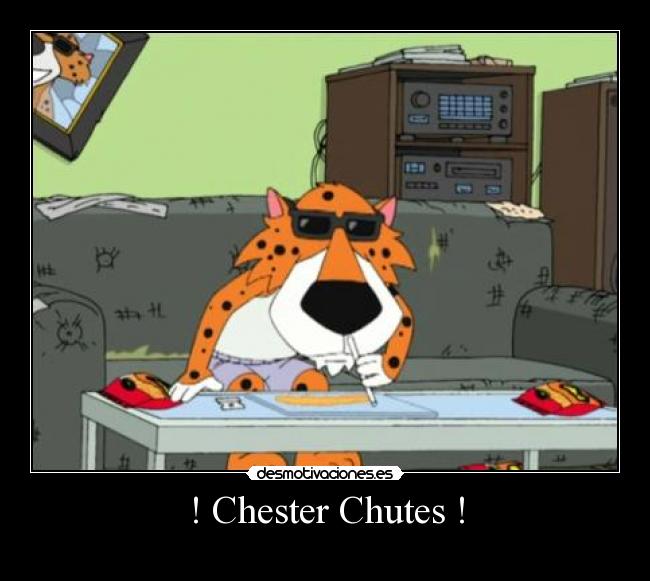 ! Chester Chutes ! - 