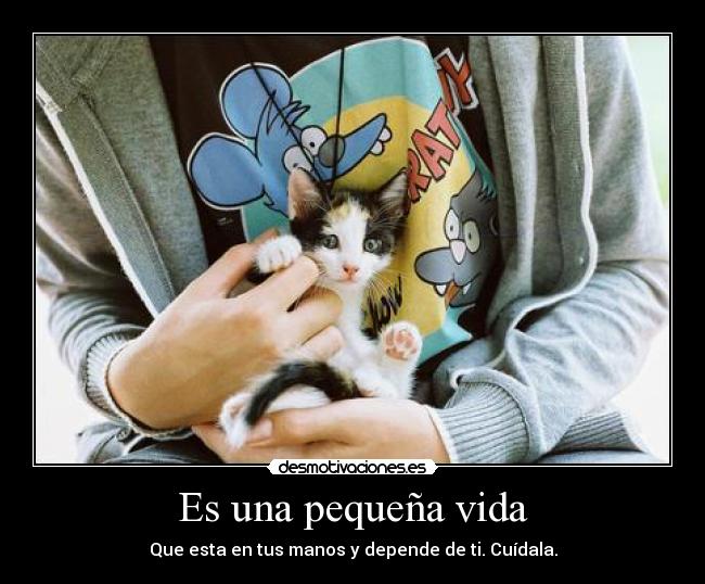 Es una pequeña vida -