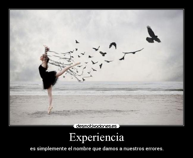 Experiencia -