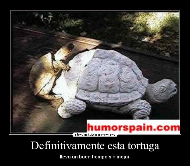 carteles misterrrrrisa desmotivaciones