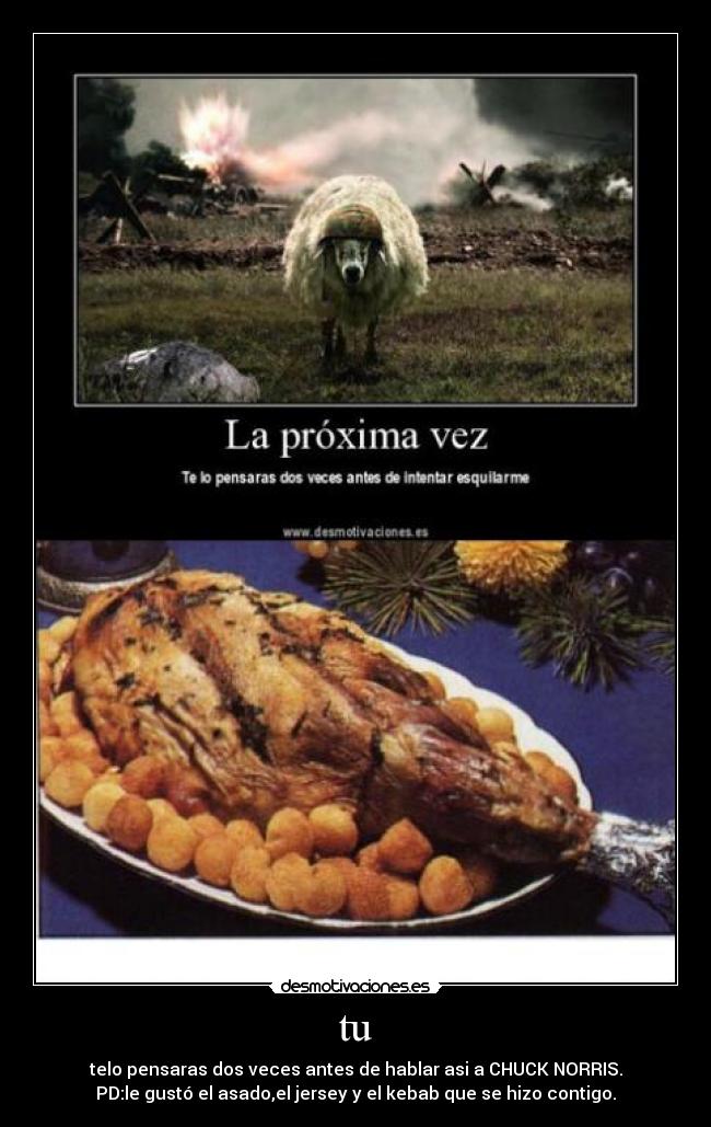 tu - telo pensaras dos veces antes de hablar asi a CHUCK NORRIS.
PD:le gustó el asado,el jersey y el kebab que se hizo contigo.