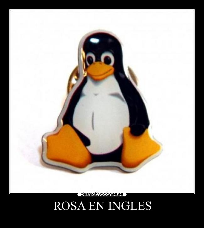 ROSA EN INGLES -