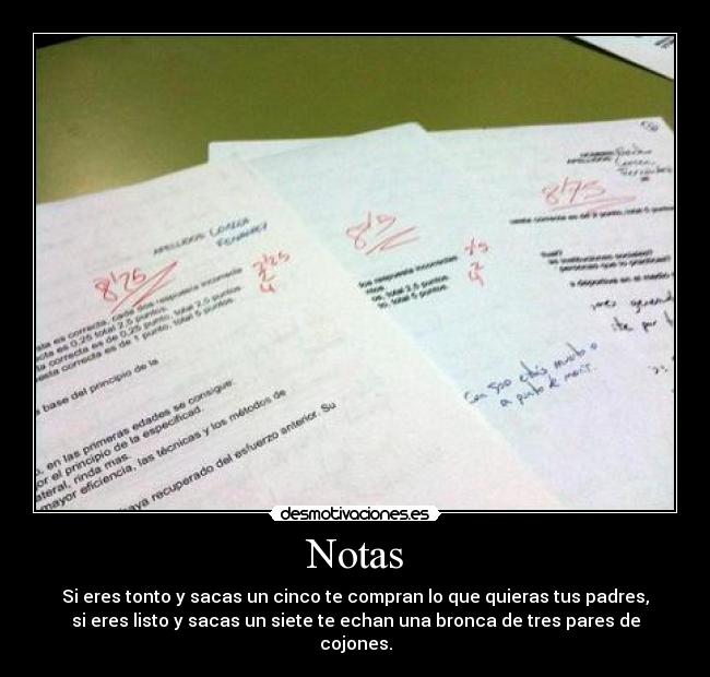 Notas -