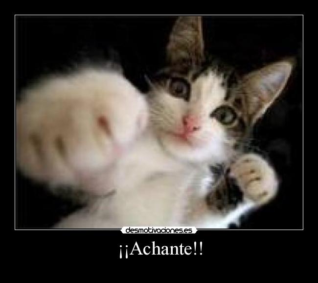 ¡¡Achante!! -