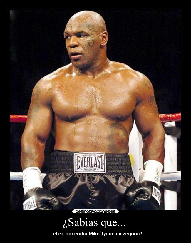 carteles mike tyson vegano desmotivaciones