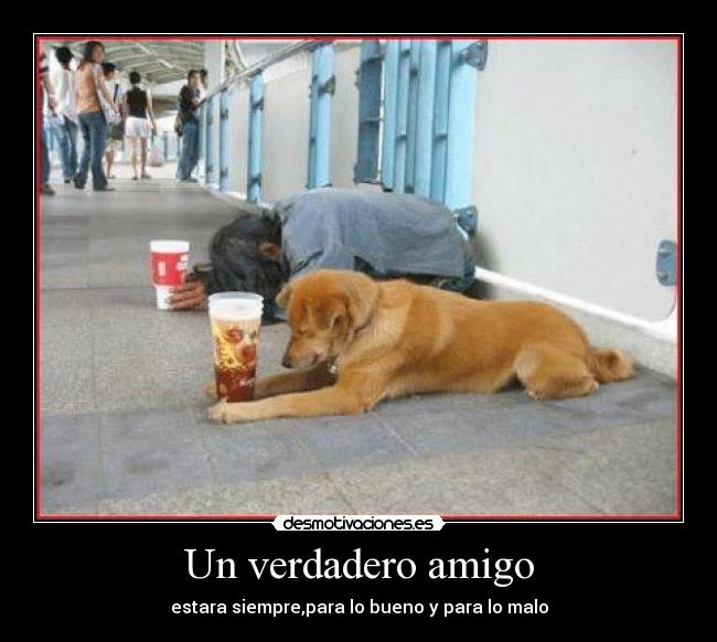 Un verdadero amigo - estara siempre,para lo bueno y para lo malo