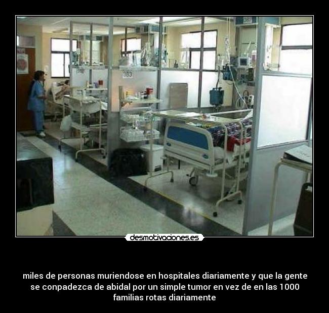    - miles de personas muriendose en hospitales diariamente y que la gente
se conpadezca de abidal por un simple tumor en vez de en las 1000
familias rotas diariamente