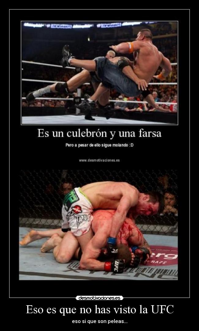 Eso es que no has visto la UFC -